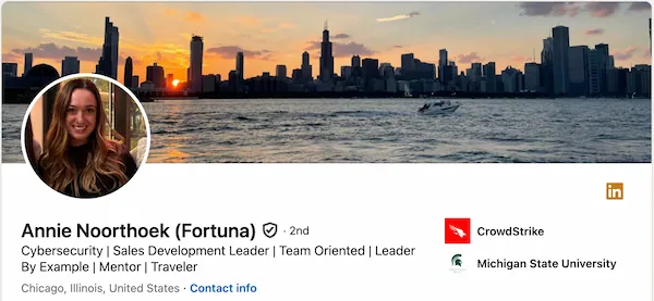 Anna's LinkedIn headline for sales development leader — not hiding sales but adding personality